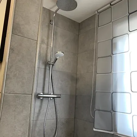 Schink 1 * Schleiden