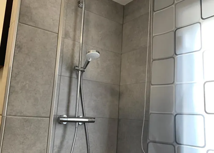 Schink 1 * Schleiden